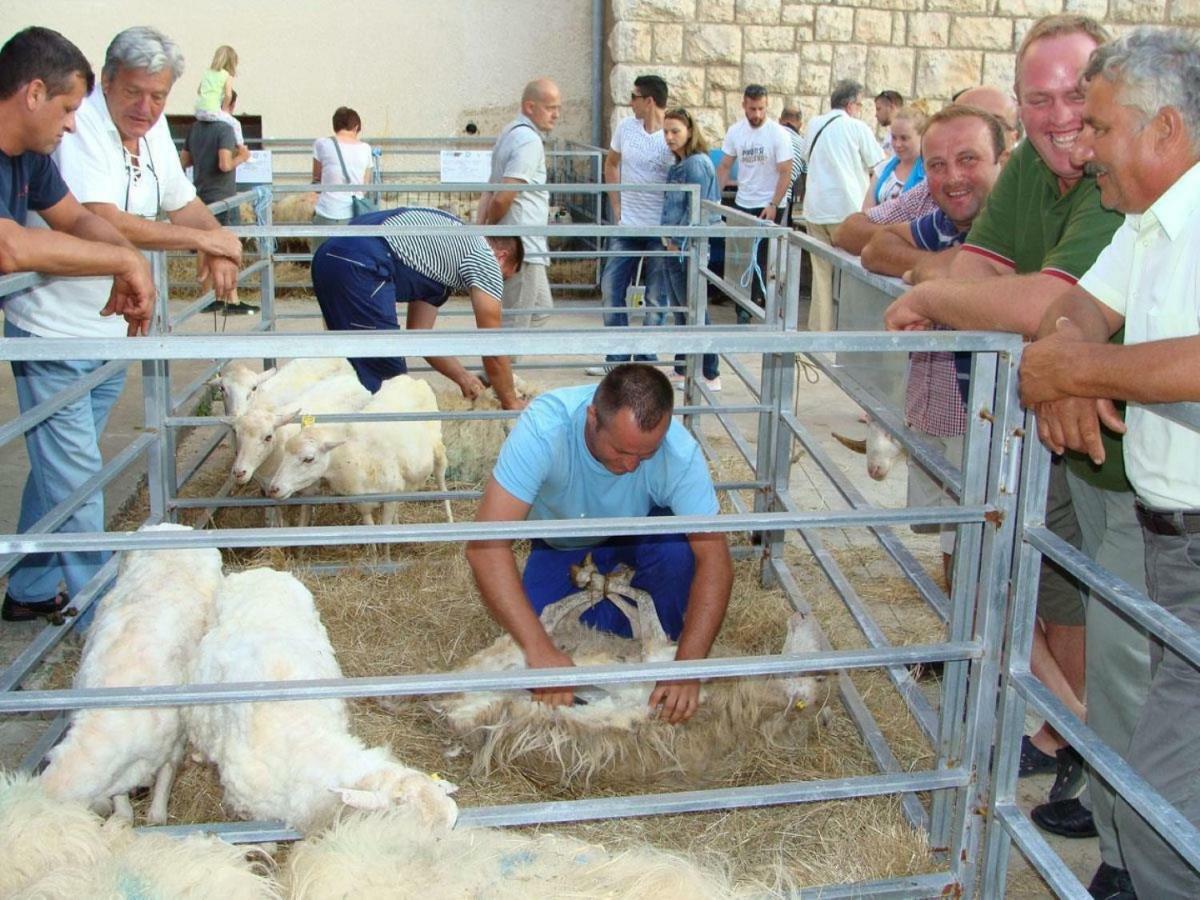 Adriatic Arteon Daire Baška Dış mekan fotoğraf